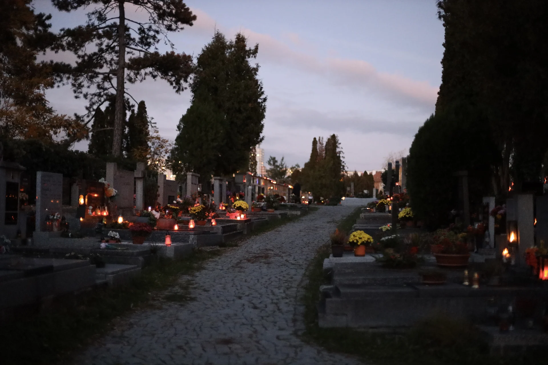 Květiny, svíčky a vzpomínání. Jak prožíváme Dušičky v Česku?