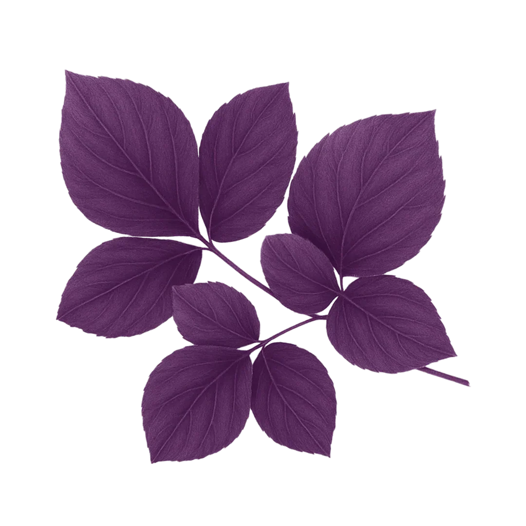Glossary: funerals and funeral services